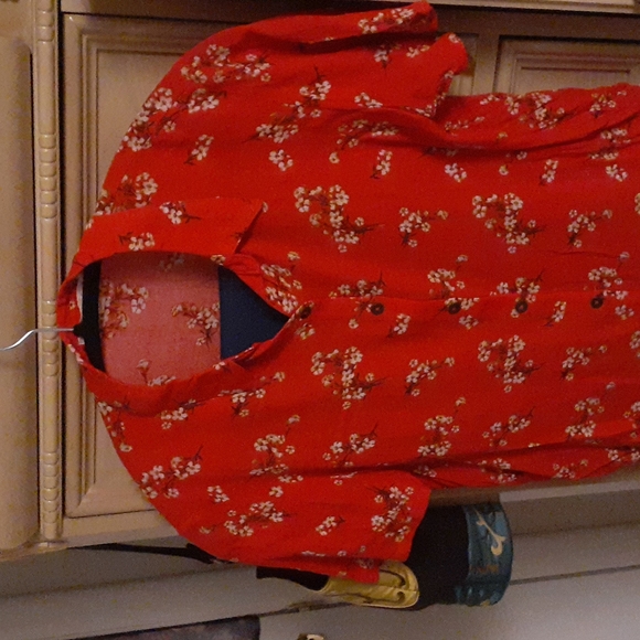 Red Blouse - Picture 2 of 4